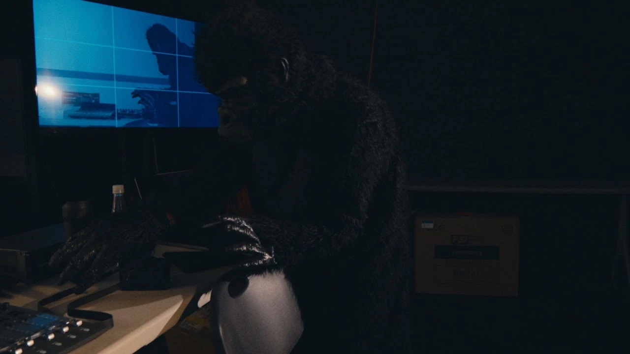 Gorilla in the Studio — photograph 05
