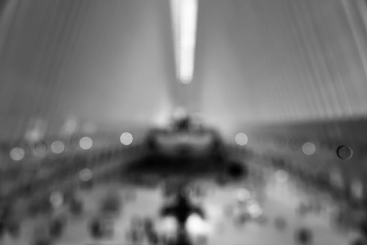 The Oculus