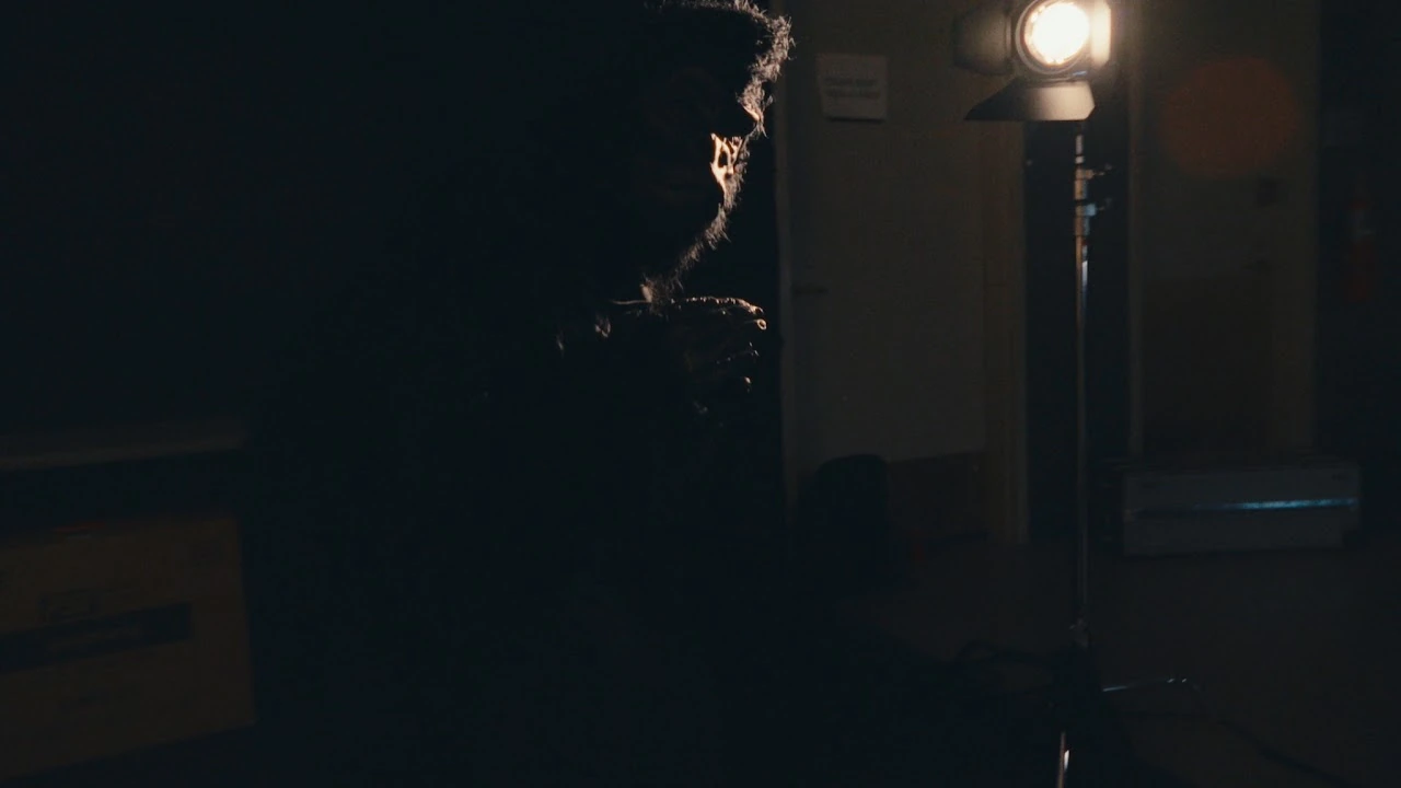 Gorilla in the Studio — photograph 03