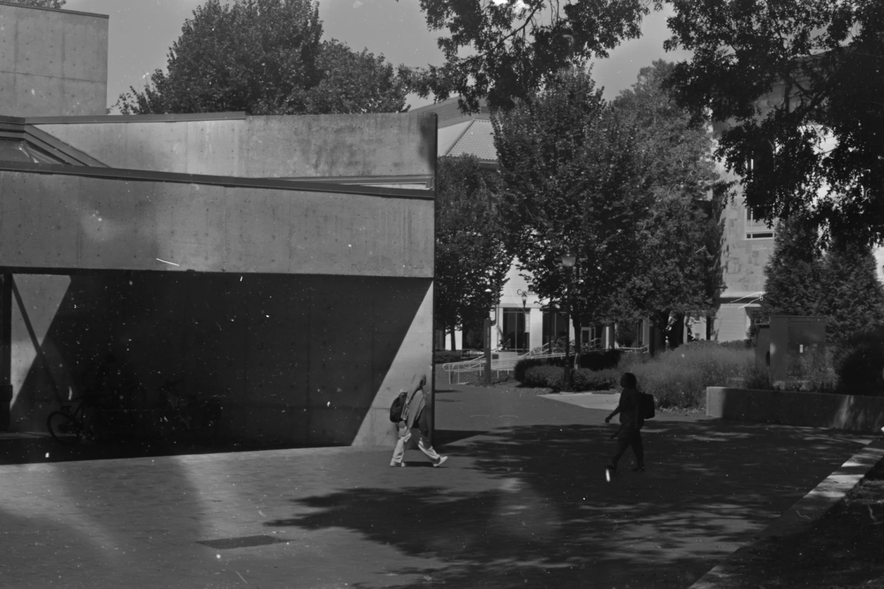 Intro to Darkroom — photograph 07