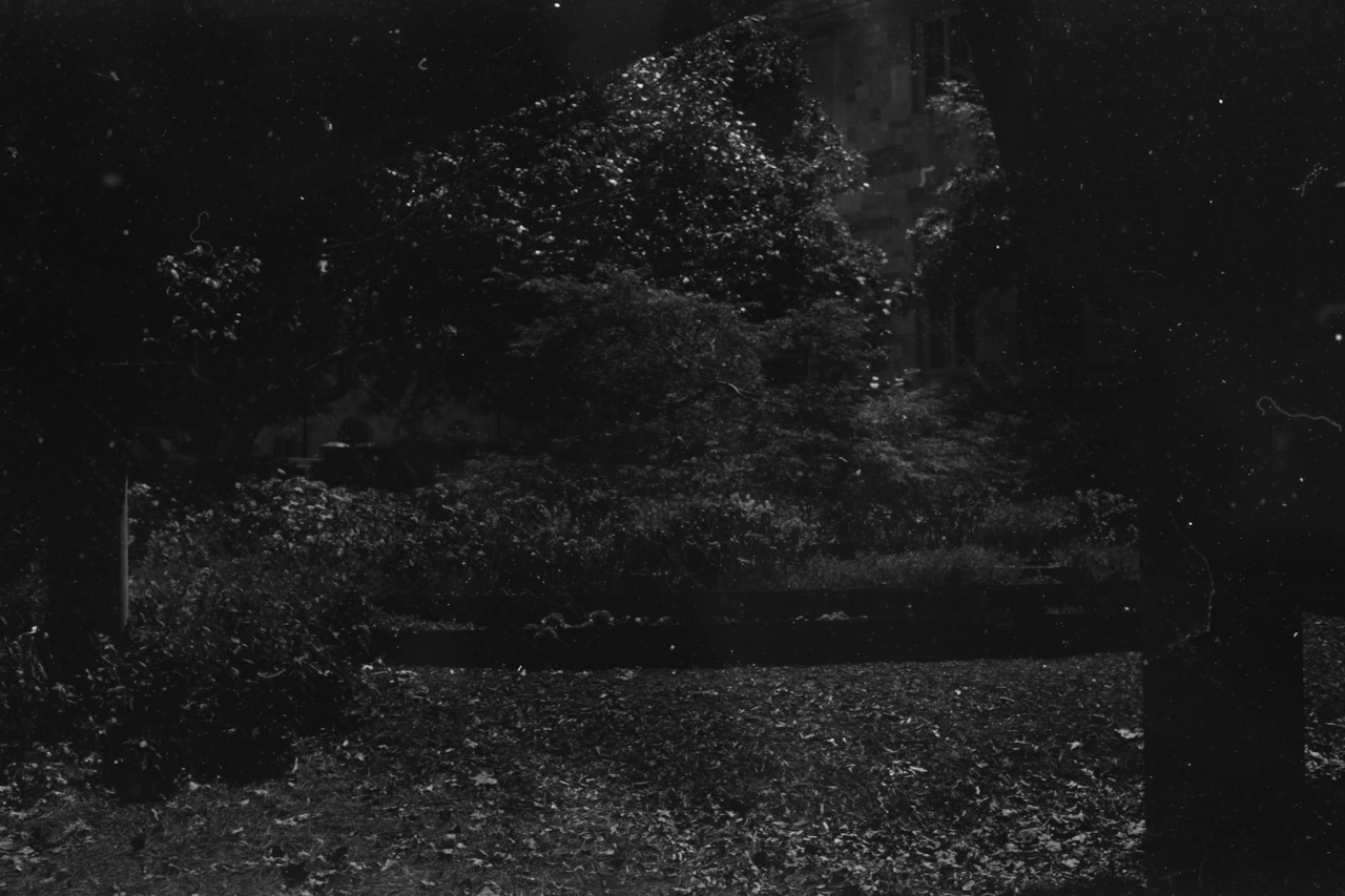 Intro to Darkroom — photograph 14
