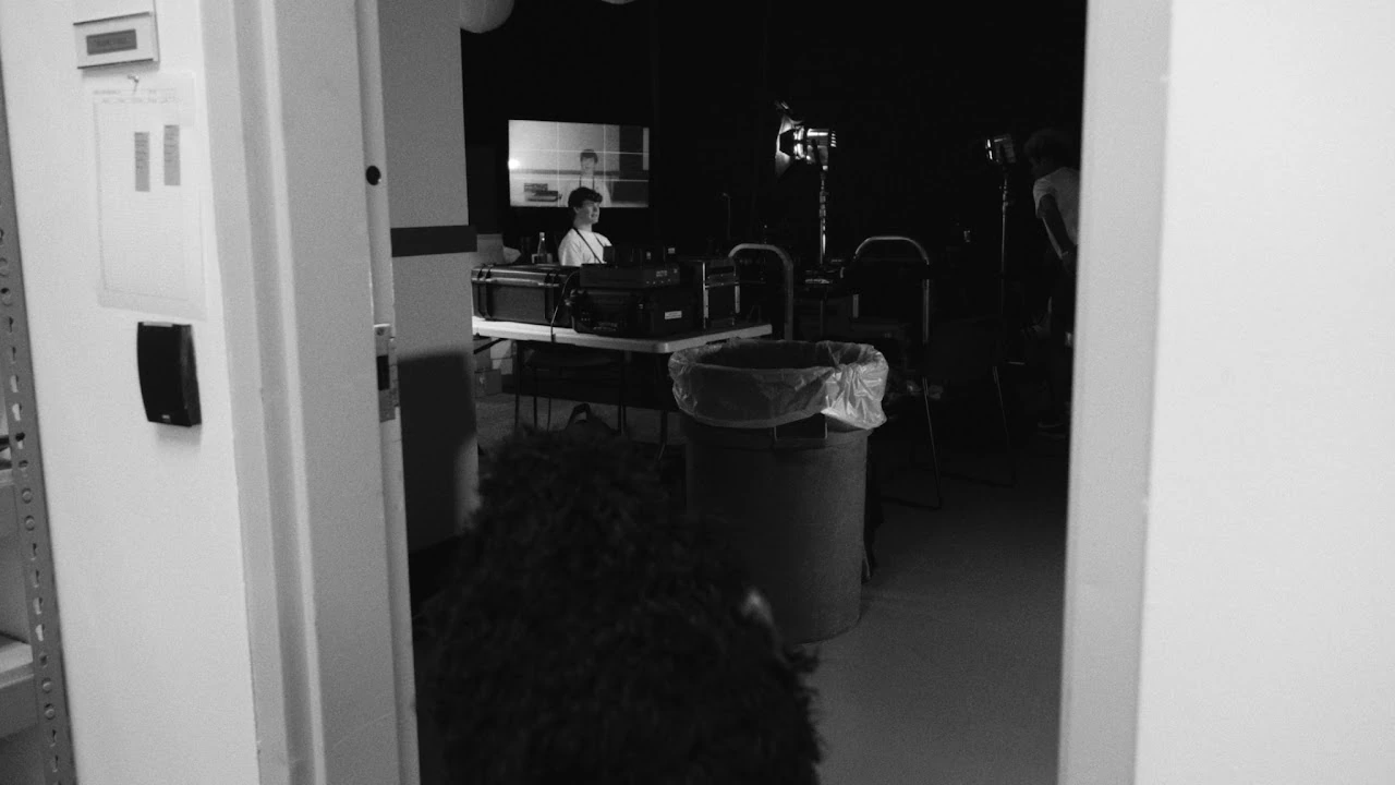 Gorilla in the Studio — photograph 04