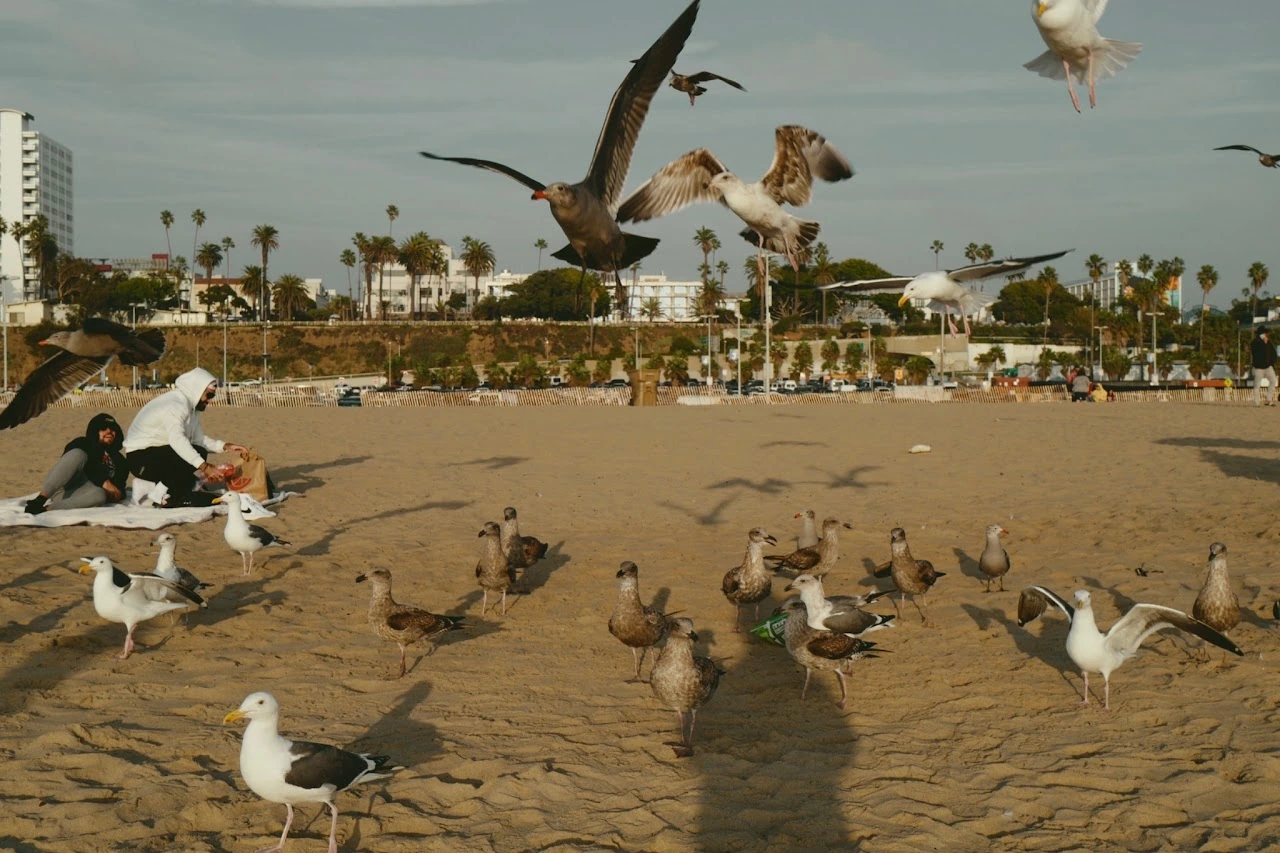 Rhythms of Chaos — photograph 02