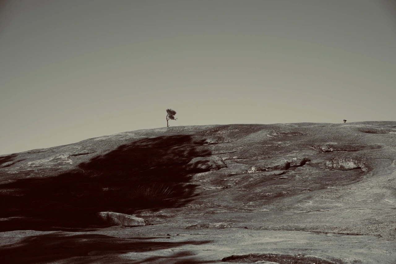Surface of the Moon