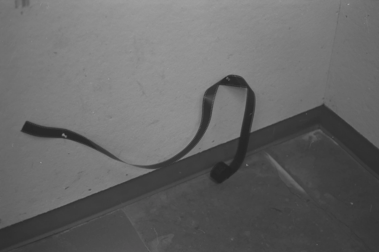 High-resolution digital scan from 35mm negative