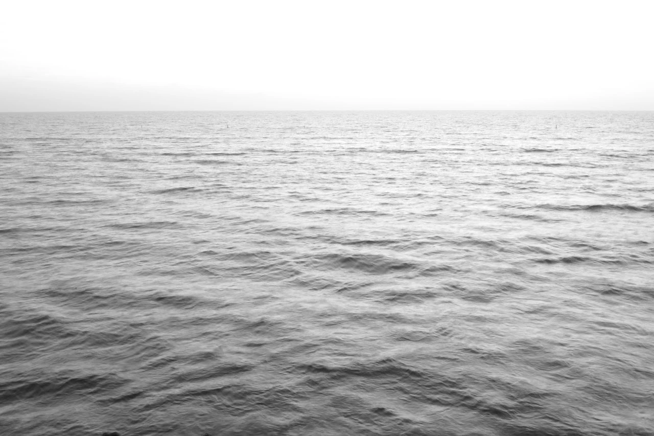 Trauma-Induced Dissociative Amnesia — photograph 03